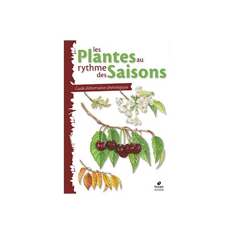Les plantes au rythme des saisons