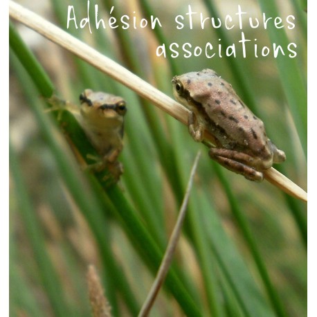 Adhésion structure ou association