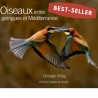 Oiseaux entre garrigues et Méditerranée