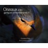 Oiseaux entre garrigues et Méditerranée II (volume 2)
