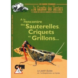À la rencontre des Sauterelles, Criquets, et Grillons…