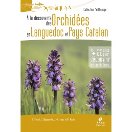 A la découverte des orchidées en Languedoc et Pays Catalan