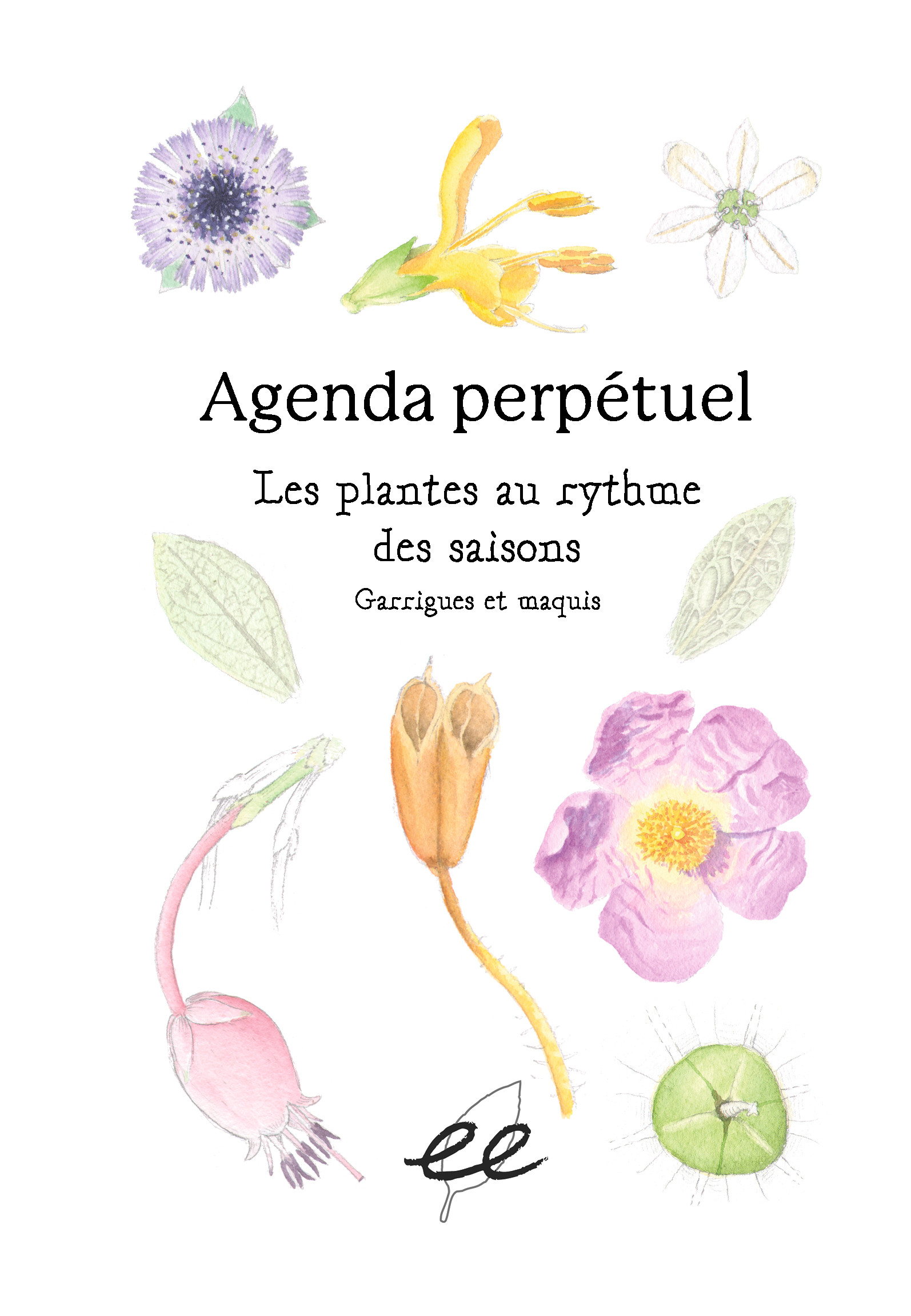 Les plantes au rytyhme des saisons - Agenda perpétuel naturaliste
