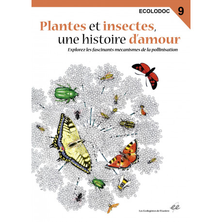 Ecolodoc - Plantes et insectes, une histoire d'amour
