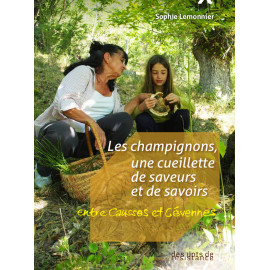 Les champignons, une cueillette de saveurs et de savoirs