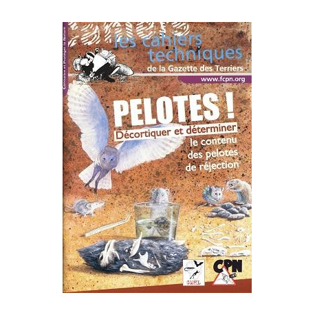 Pelotes ! Décortiquer et déterminer