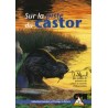 Sur la piste du castor
