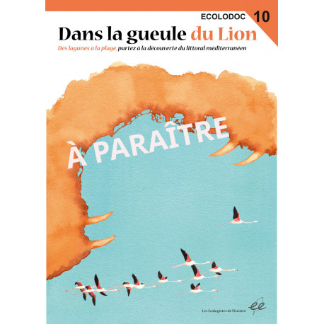 Dans la gueule du Lion