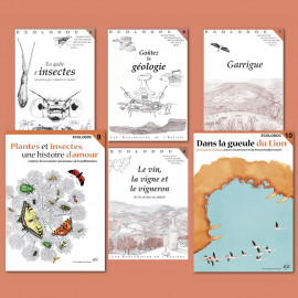 Nos 6 Ecolodoc pour le prix de 5 !