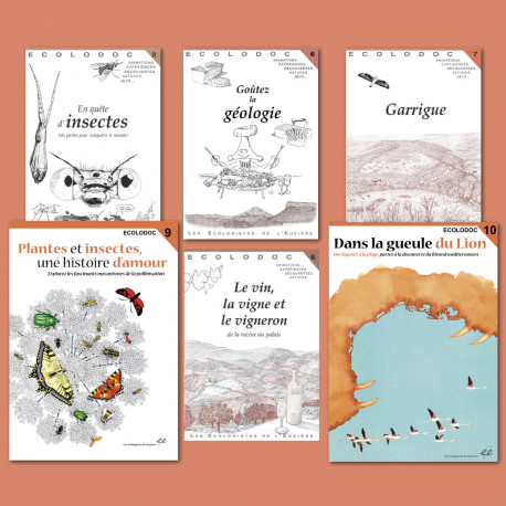 Nos 6 Ecolodoc pour le prix de 5 !