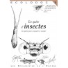 En quête d'insectes