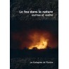 Le feu dans la nature