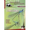À la rencontre des libellules