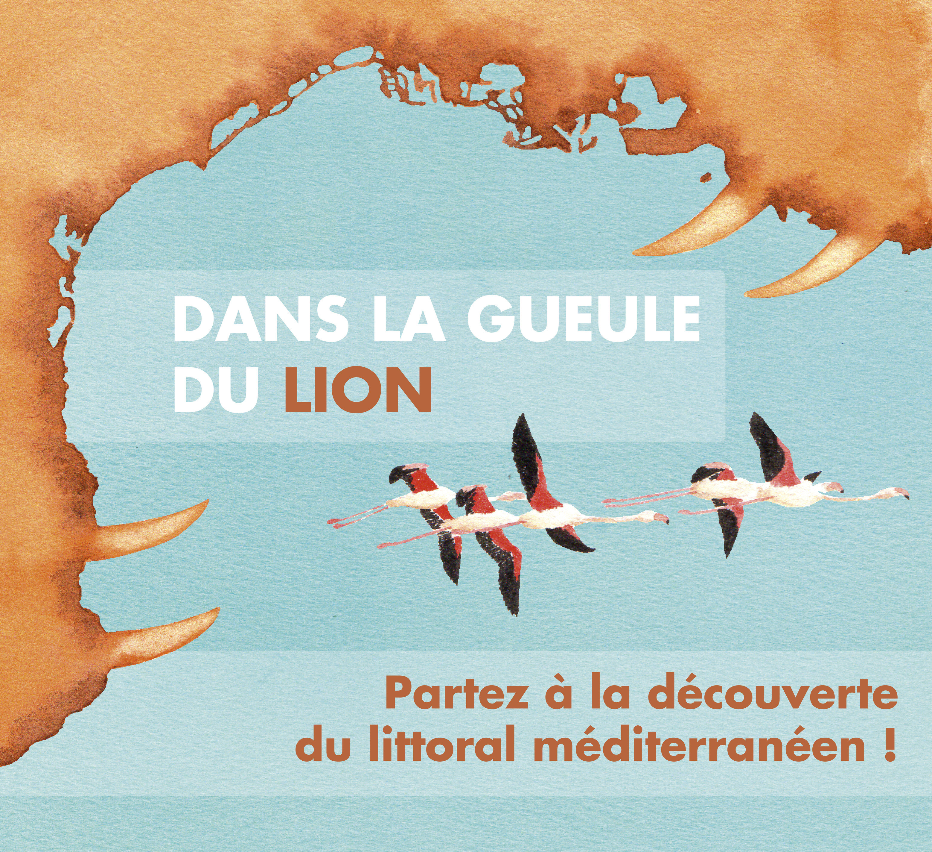 Explorez le littoral avec notre nouvel Ecoldoc