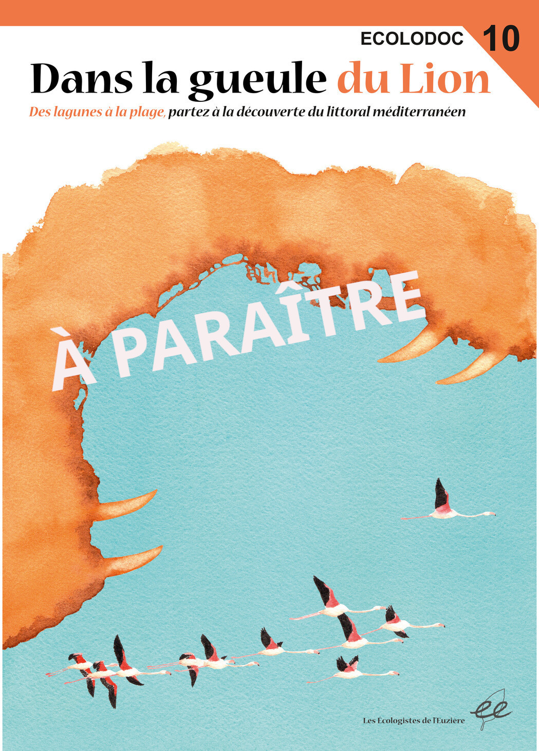 D&eacute;couvrez bient&ocirc;t notre nouvel Ecolodoc d&eacute;di&eacute; au littoral, des lagunes &agrave; la plage